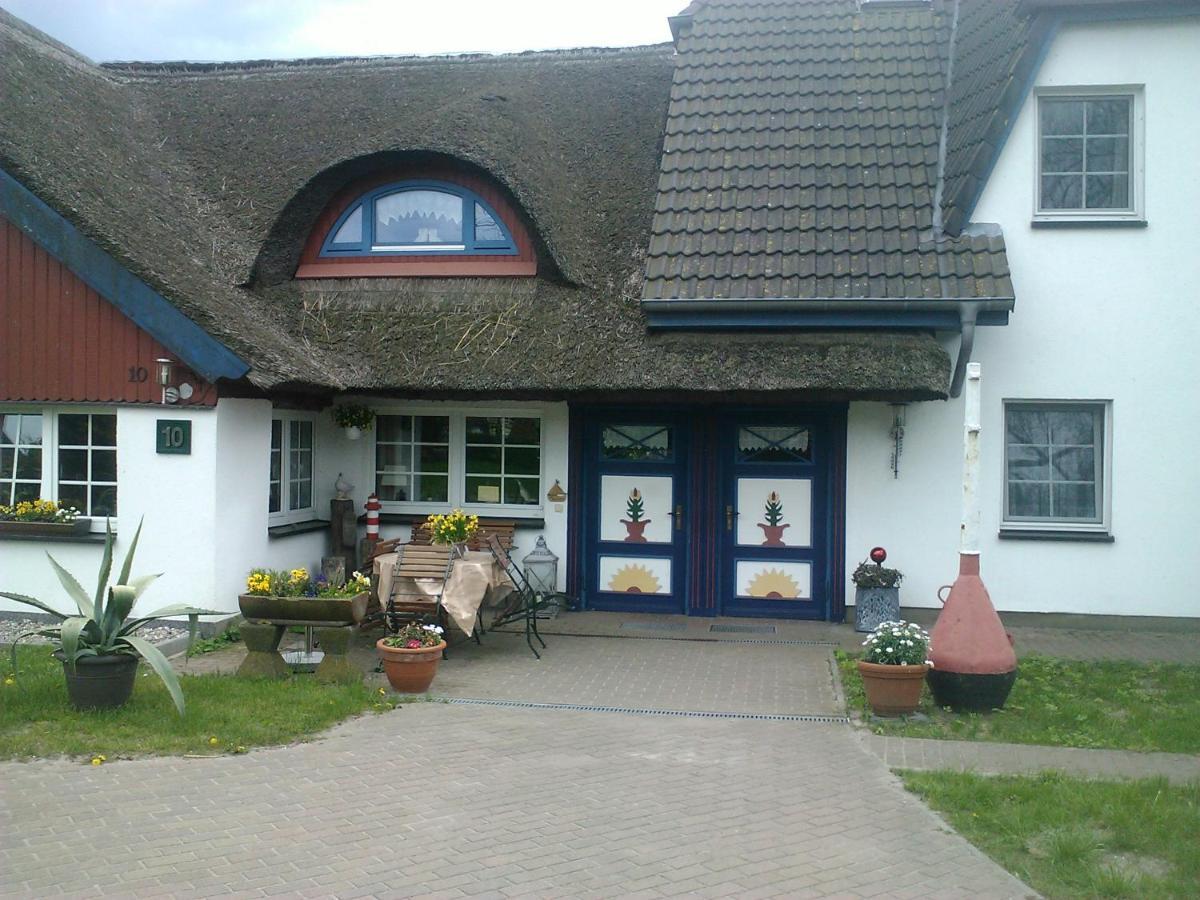 Pension Martens - Gaubenwohnung ويك المظهر الخارجي الصورة